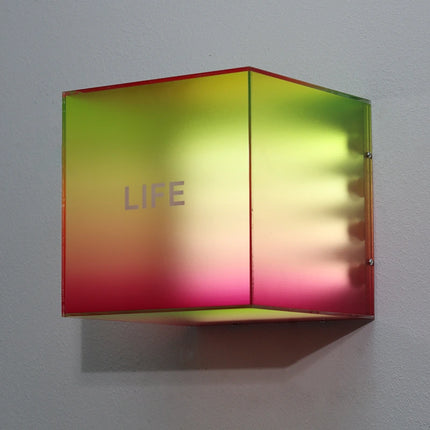 Custom Gradient Acrylic Light Box – Creative Colorful Illuminated Shop Sign